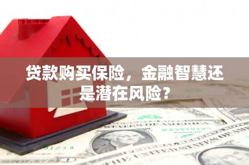 鼓山贷款购买保险，金融智慧还是潜在风险？