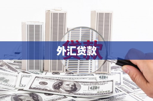 鼓山外汇贷款