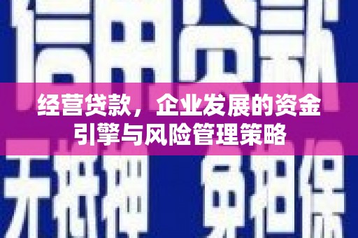 鼓山经营贷款，企业发展的资金引擎与风险管理策略