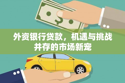 鼓山外资银行贷款，机遇与挑战并存的市场新宠