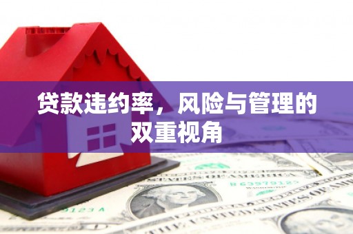 鼓山贷款违约率，风险与管理的双重视角