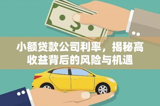 鼓山小额贷款公司利率，揭秘高收益背后的风险与机遇