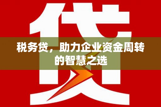 鼓山税务贷，助力企业资金周转的智慧之选