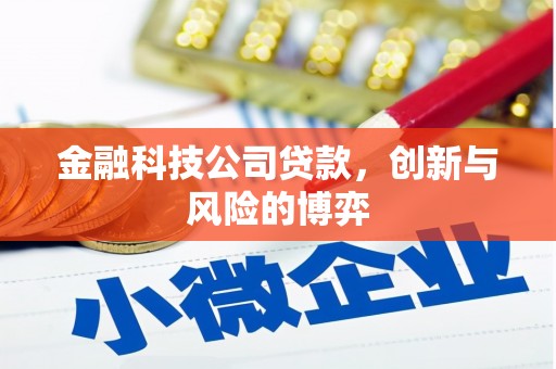 鼓山金融科技公司贷款，创新与风险的博弈