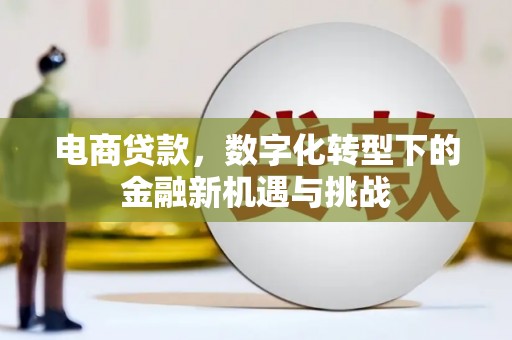 鼓山电商贷款，数字化转型下的金融新机遇与挑战