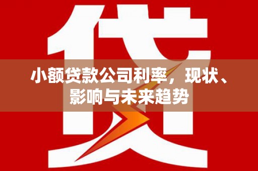 鼓山小额贷款公司利率，现状、影响与未来趋势