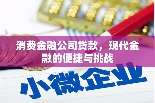 鼓山消费金融公司贷款，现代金融的便捷与挑战