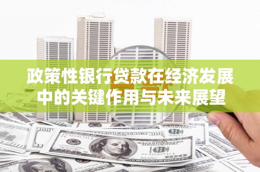 鼓山政策性银行贷款在经济发展中的关键作用与未来展望