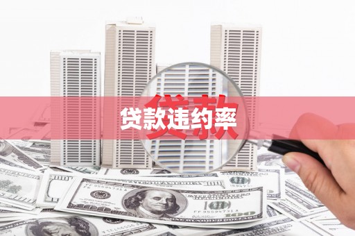 鼓山贷款违约率