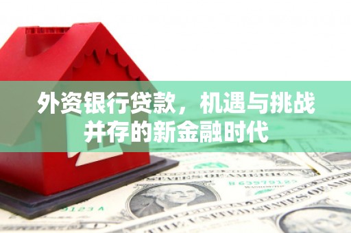 鼓山外资银行贷款，机遇与挑战并存的新金融时代