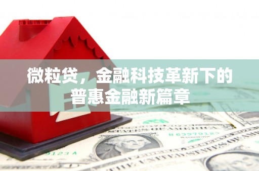 鼓山微粒贷，金融科技革新下的普惠金融新篇章
