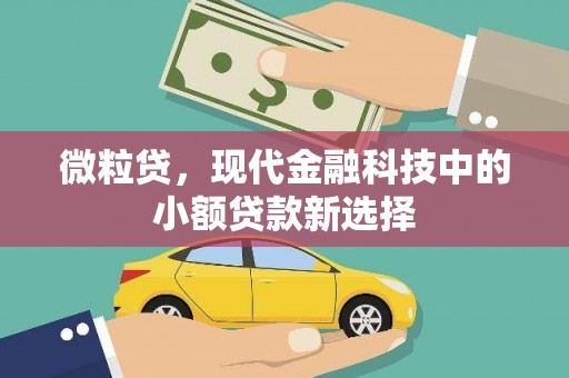 鼓山微粒贷，现代金融科技中的小额贷款新选择