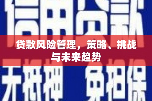鼓山贷款风险管理，策略、挑战与未来趋势