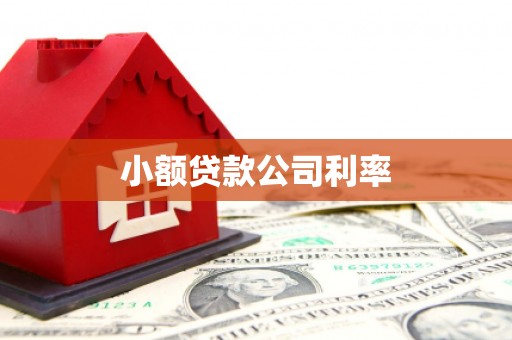 鼓山小额贷款公司利率