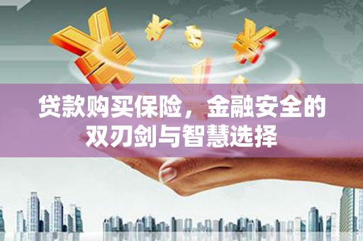 鼓山贷款购买保险，金融安全的双刃剑与智慧选择