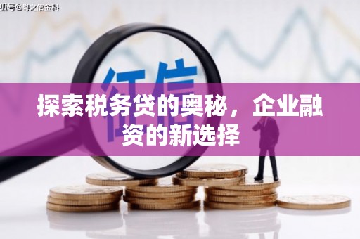 鼓山探索税务贷的奥秘，企业融资的新选择