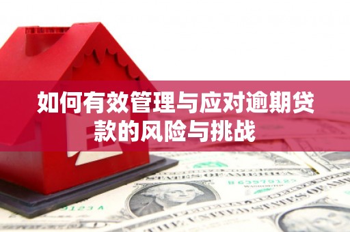 鼓山如何有效管理与应对逾期贷款的风险与挑战