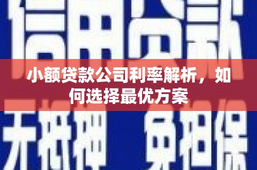 鼓山小额贷款公司利率解析，如何选择最优方案
