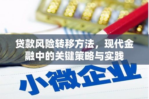 鼓山贷款风险转移方法，现代金融中的关键策略与实践