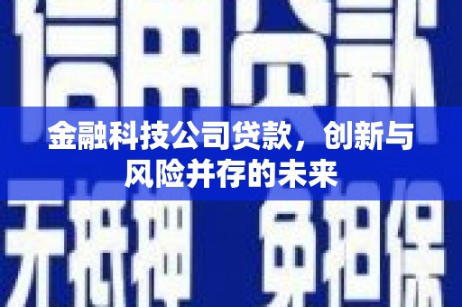 鼓山金融科技公司贷款，创新与风险并存的未来