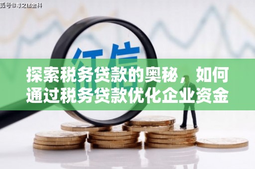 鼓山探索税务贷款的奥秘，如何通过税务贷款优化企业资金流