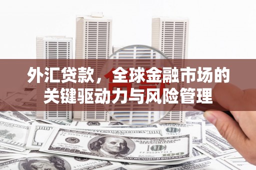 鼓山外汇贷款，全球金融市场的关键驱动力与风险管理