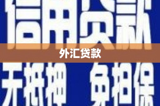 鼓山外汇贷款