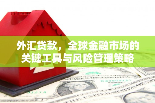鼓山外汇贷款，全球金融市场的关键工具与风险管理策略