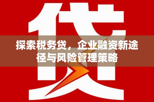 鼓山探索税务贷，企业融资新途径与风险管理策略