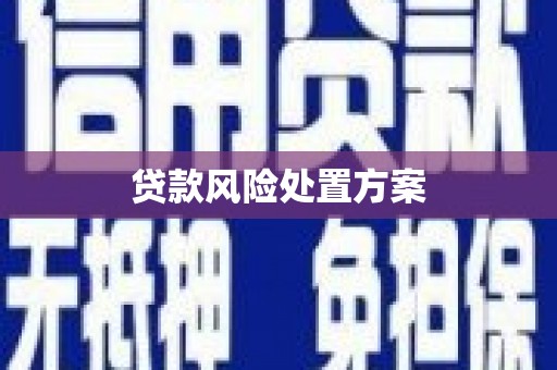 鼓山贷款风险处置方案