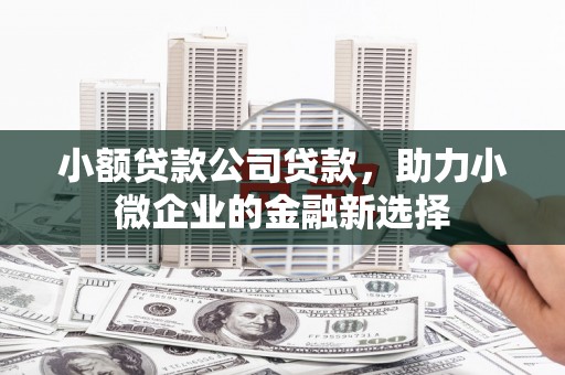 鼓山小额贷款公司贷款，助力小微企业的金融新选择