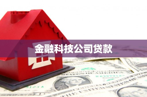 鼓山金融科技公司贷款