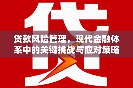 鼓山贷款风险管理，现代金融体系中的关键挑战与应对策略