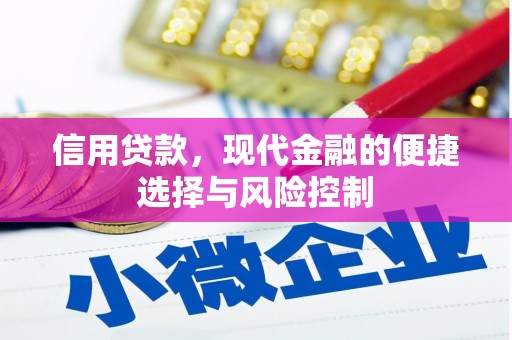鼓山信用贷款，现代金融的便捷选择与风险控制