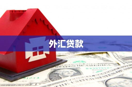 鼓山外汇贷款