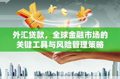 鼓山外汇贷款，全球金融市场的关键工具与风险管理策略