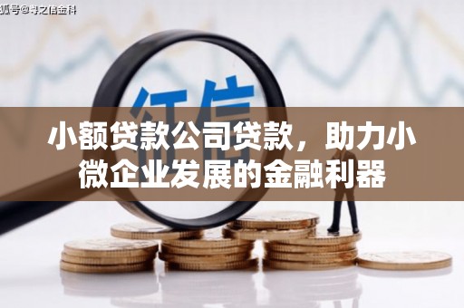 鼓山小额贷款公司贷款，助力小微企业发展的金融利器