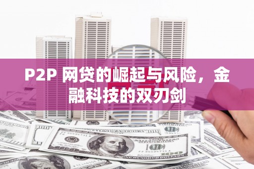鼓山P2P 网贷的崛起与风险，金融科技的双刃剑