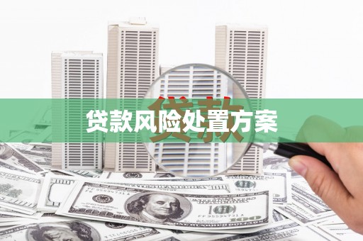 鼓山贷款风险处置方案