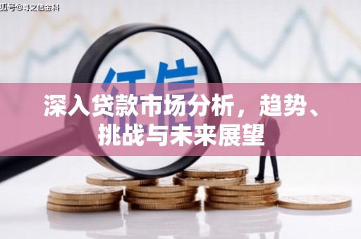 鼓山深入贷款市场分析，趋势、挑战与未来展望