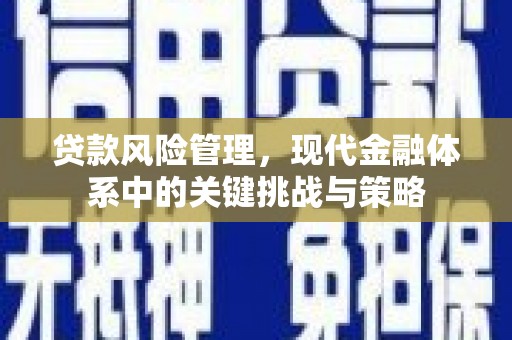 鼓山贷款风险管理，现代金融体系中的关键挑战与策略