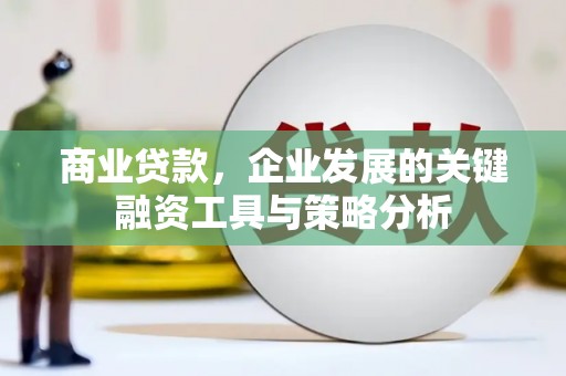 鼓山商业贷款，企业发展的关键融资工具与策略分析