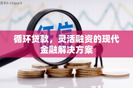 鼓山循环贷款，灵活融资的现代金融解决方案