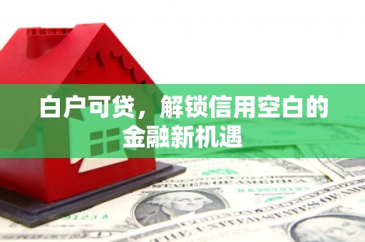 鼓山白户可贷，解锁信用空白的金融新机遇