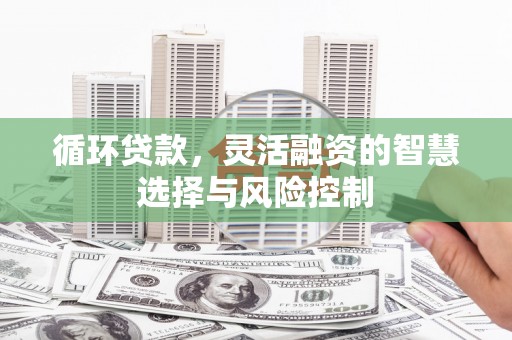 鼓山循环贷款，灵活融资的智慧选择与风险控制