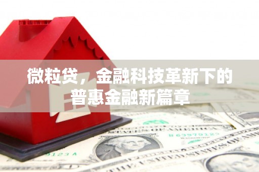 鼓山微粒贷，金融科技革新下的普惠金融新篇章