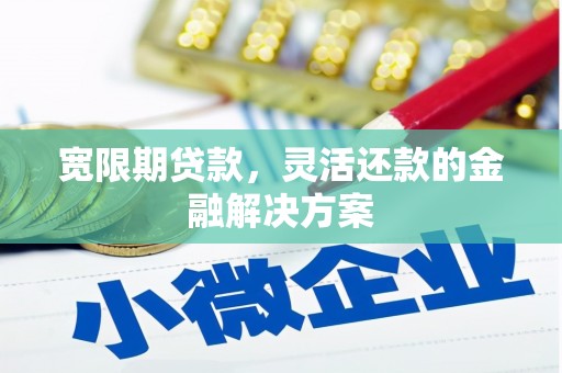 鼓山宽限期贷款，灵活还款的金融解决方案