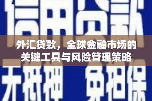 鼓山外汇贷款，全球金融市场的关键工具与风险管理策略