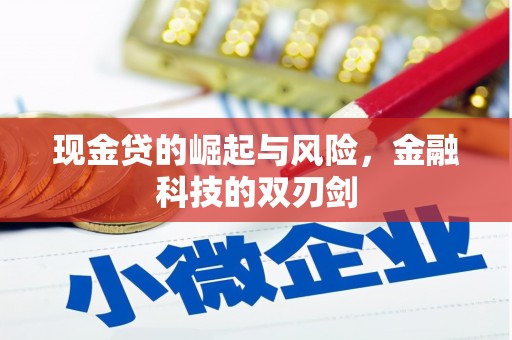 鼓山现金贷的崛起与风险，金融科技的双刃剑