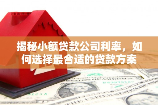 鼓山揭秘小额贷款公司利率，如何选择最合适的贷款方案